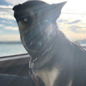 Meet your Posher, Charles